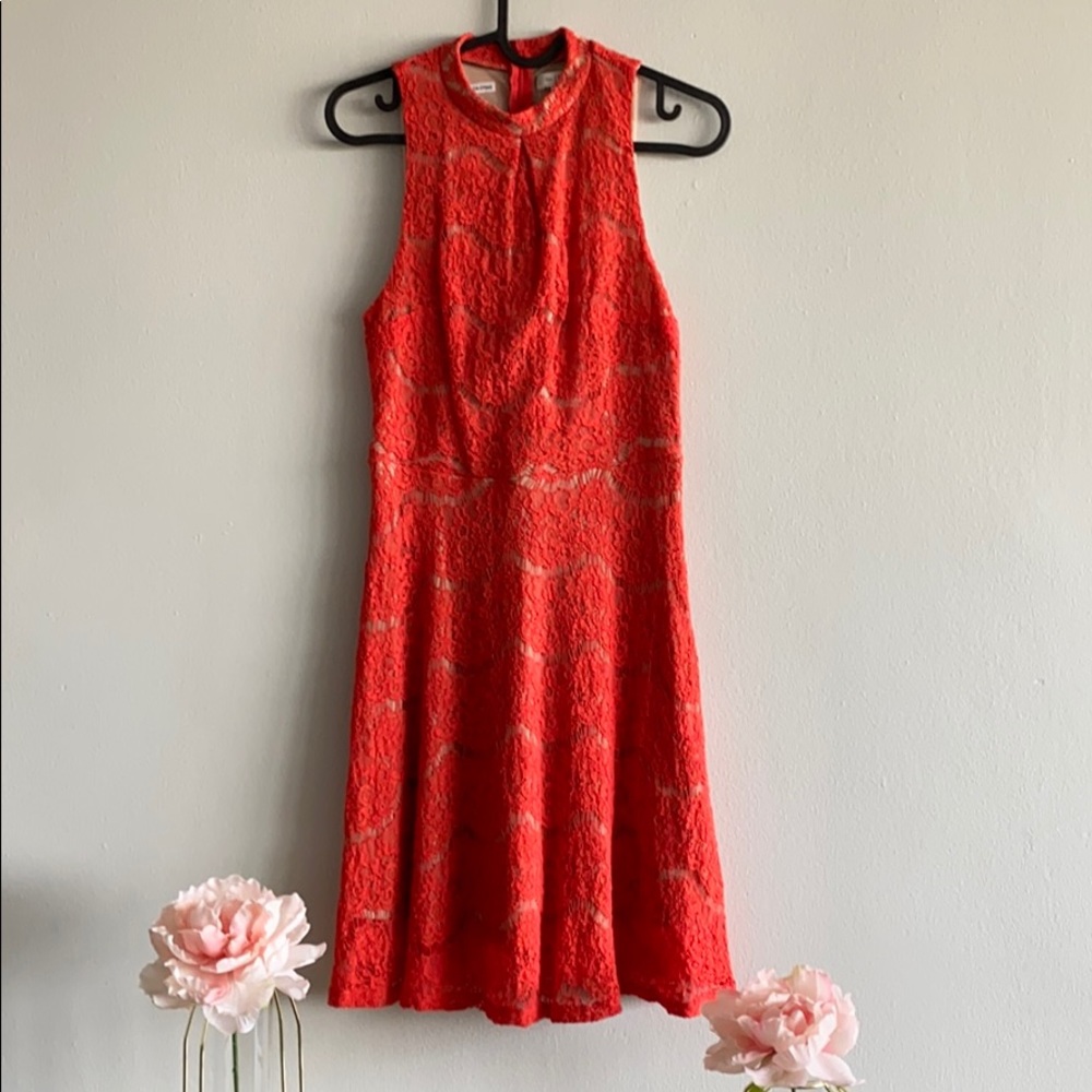 love, Fire Lace Skater dress